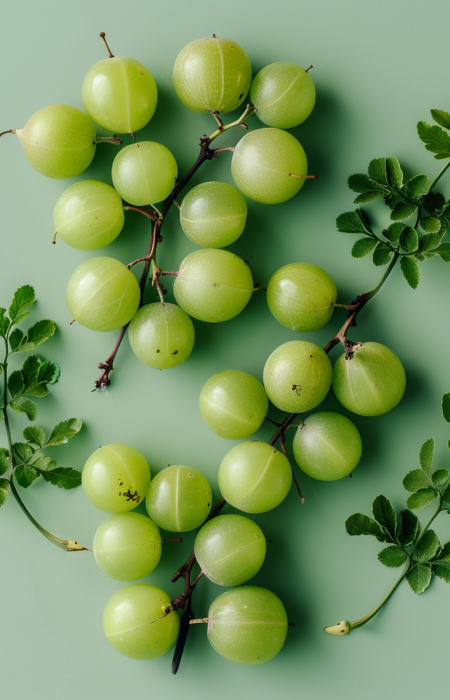 abcdefghijklmnop_Fresh_green_amla_fruits_arranged_naturally_c_f9eea9c3-c911-4157-a77d-7ab81208f1f1_1